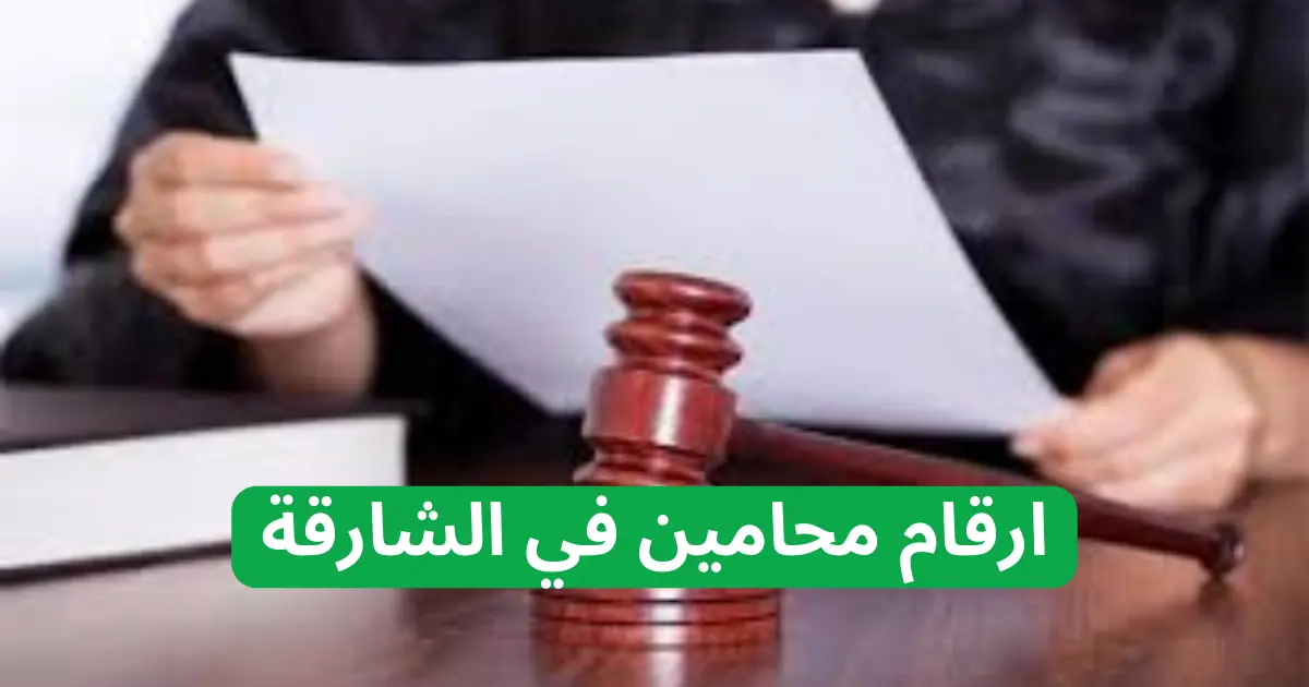 اشهر 5 مكاتب المحاماة في الشارقة| افضل المكاتب القانونية 2 مكاتب المحاماة في الشارقة