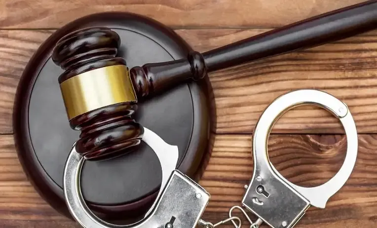 القضايا التي يتولاها كل محامي جنائي 