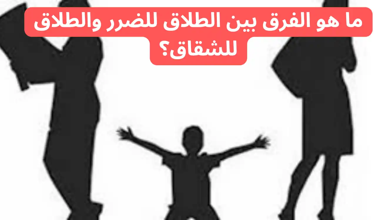 تعرف على أسباب رفض دعوى الطلاق للشقاق وشروط رفعها وحقوقك القانونية 3 أسباب رفض دعوى الطلاق للشقاق