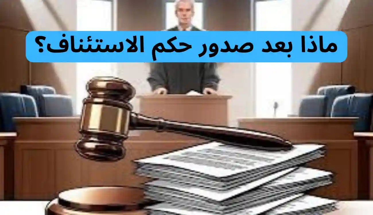 استئناف حكم نفقة صغير في القانون الإماراتي| دليل شامل وتفصيلي 3 استئناف حكم نفقة صغير