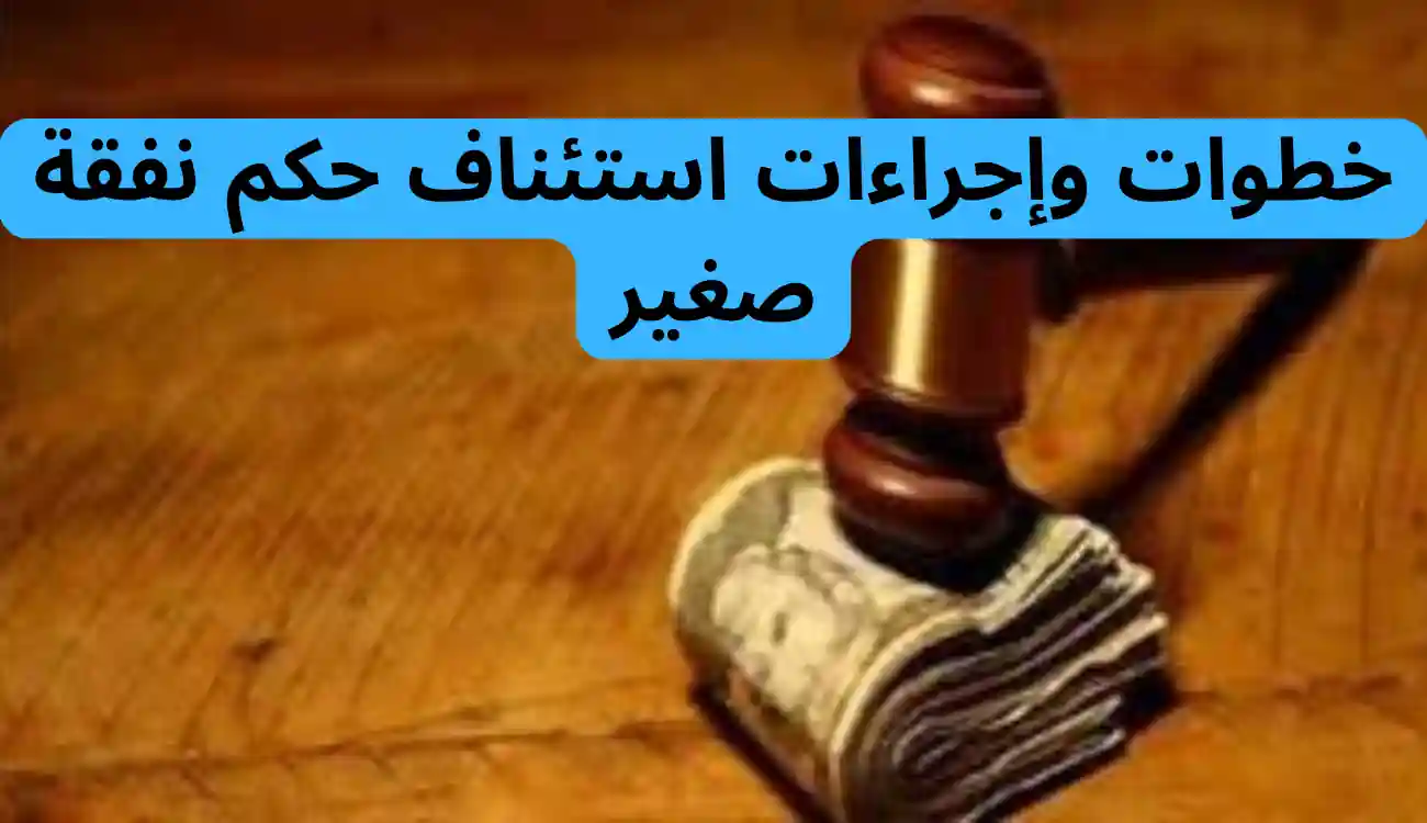 استئناف حكم نفقة صغير في القانون الإماراتي| دليل شامل وتفصيلي 2 استئناف حكم نفقة صغير