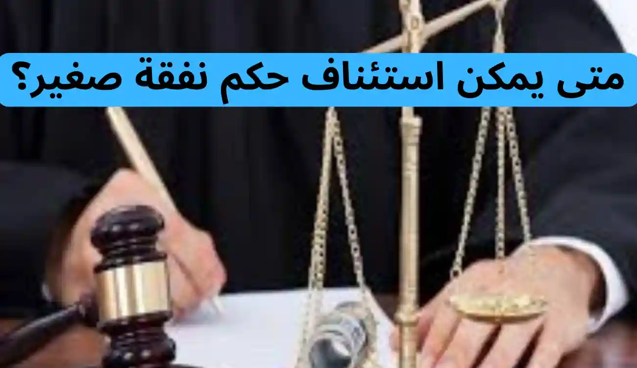 استئناف حكم نفقة صغير في القانون الإماراتي| دليل شامل وتفصيلي 1 استئناف حكم نفقة صغير