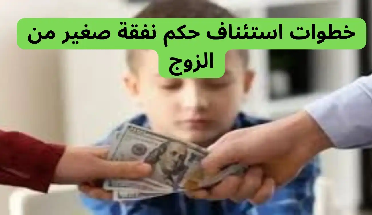 استئناف حكم نفقة صغير من الزوج
