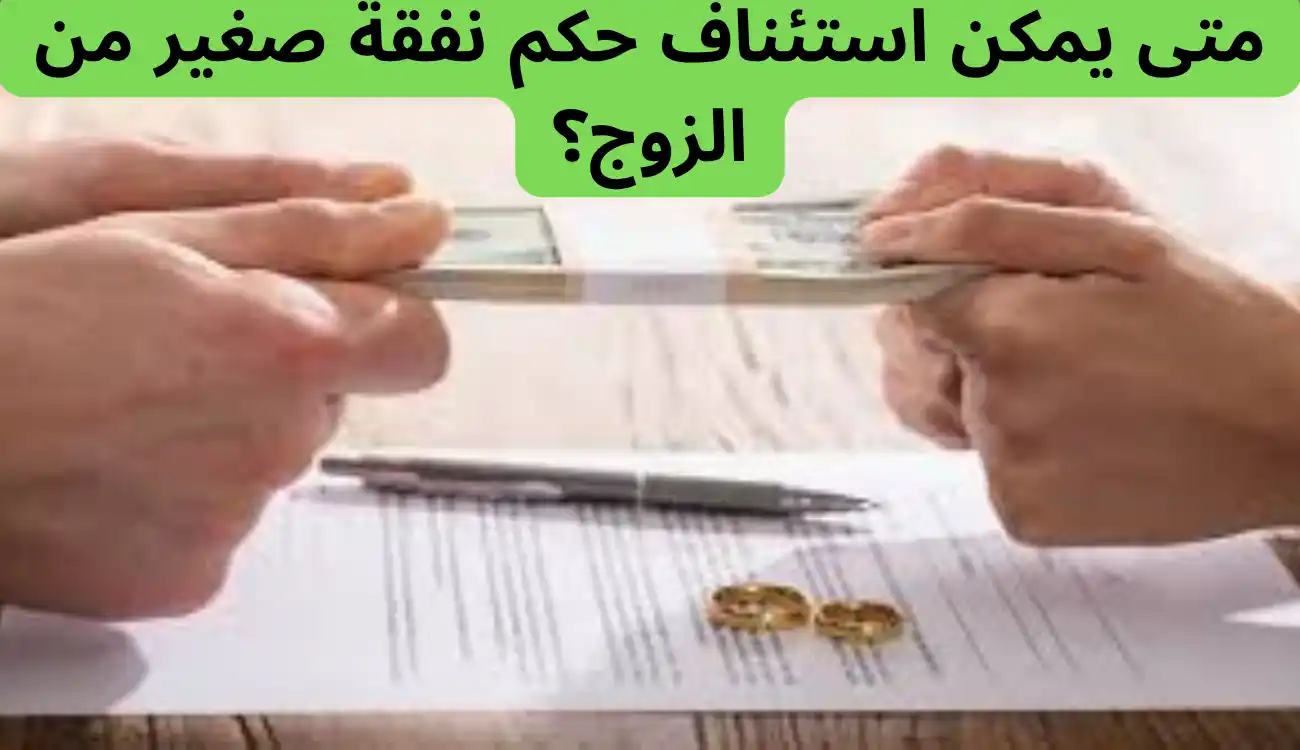استئناف حكم نفقة صغير من الزوج