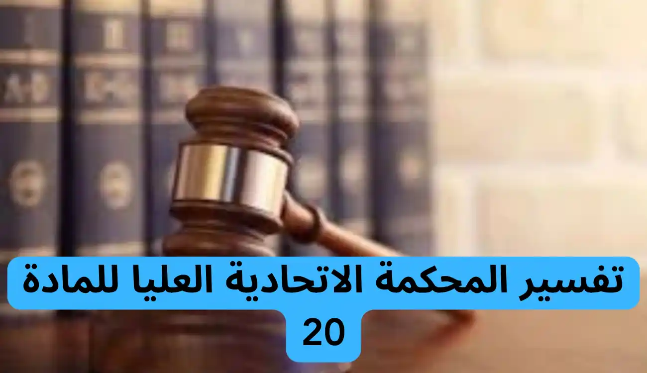 المادة 20 من قانون الاجراءات الجزائية| دليل شامل 2 المادة 20 من قانون الاجراءات الجزائية