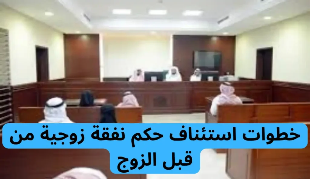 استئناف حكم نفقة زوجية من قبل الزوج: دليل شامل 2 استئناف حكم نفقة زوجية من قبل الزوج