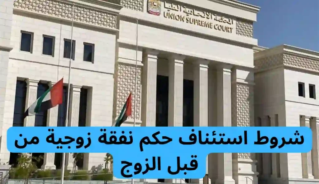 استئناف حكم نفقة زوجية من قبل الزوج: دليل شامل 1 استئناف حكم نفقة زوجية من قبل الزوج